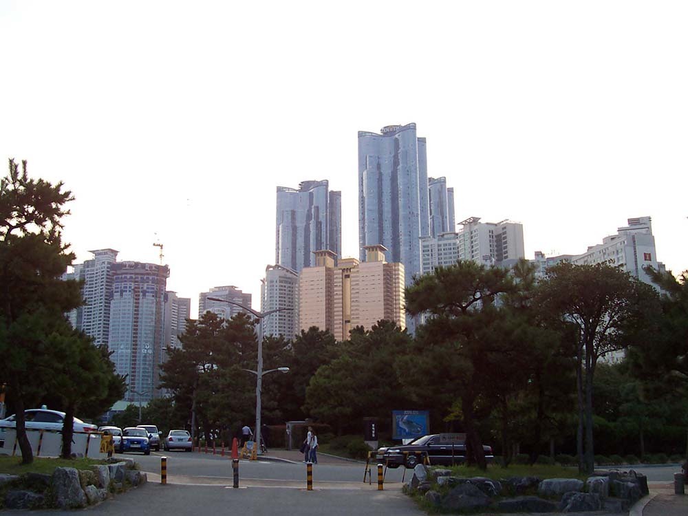 이미지명