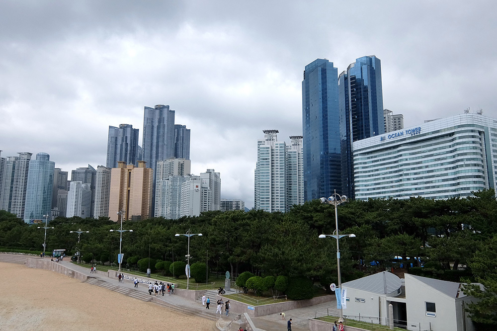 이미지명