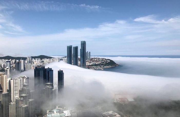 이미지명