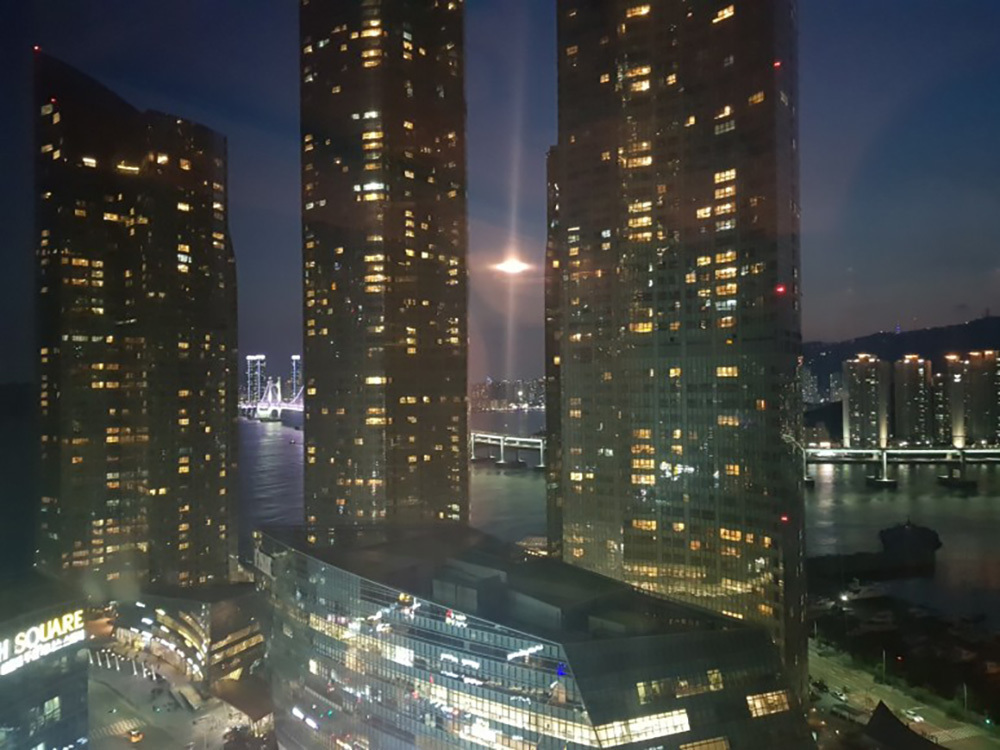 이미지명