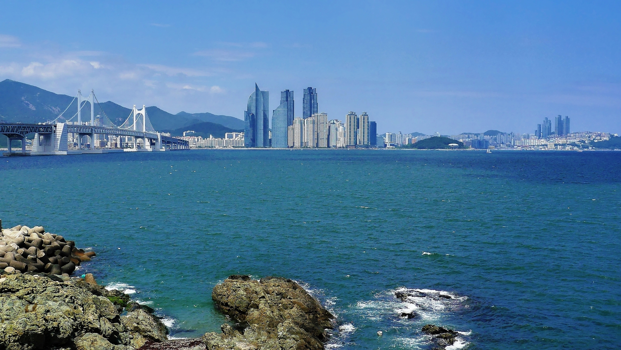 이미지명